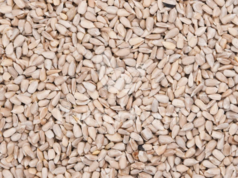 مغز تخمه آفتابگردان خام اعلا با خواص باورنکردنی و شگفت انگیز