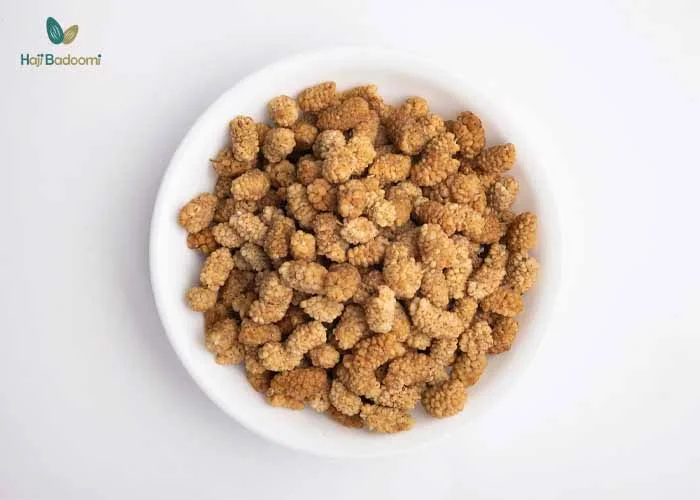 خوردن توت خشک در بارداری میتواند استرس اکسیداتیو در بدن را کمتر کند