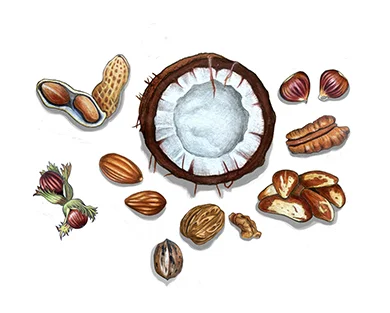 حاجی بادومی