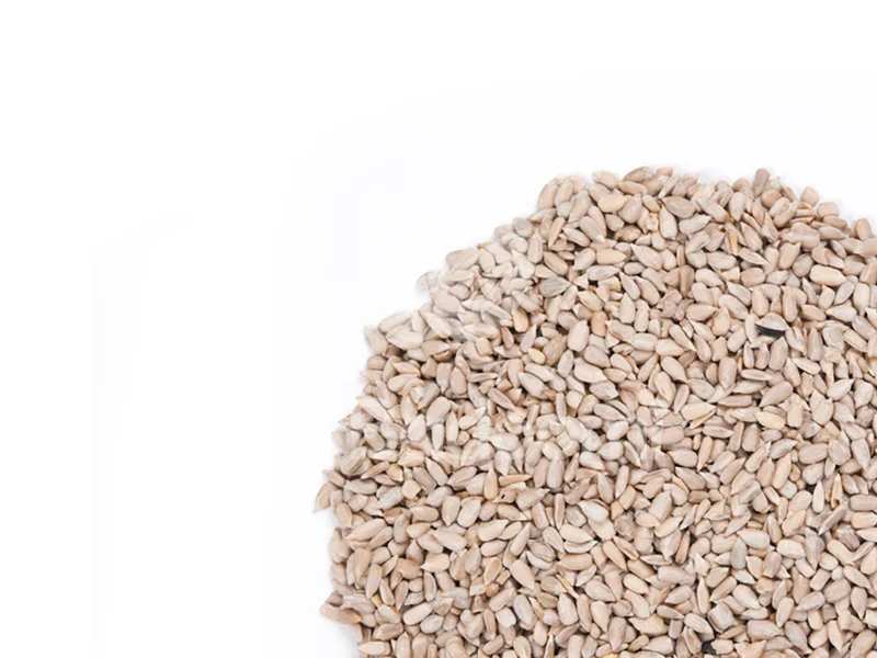 مغز تخمه آفتابگردان خام اعلا در مقابل مغز تخمه آفتای گزدان شور و بوداده