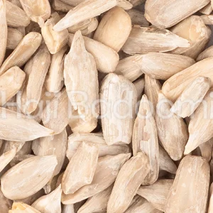 مغز تخمه آفتابگردان خام درجه یک