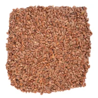 تخم کتان درجه یک