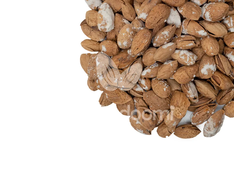 نمایی از بادام منقا خارجی شور اعلاء