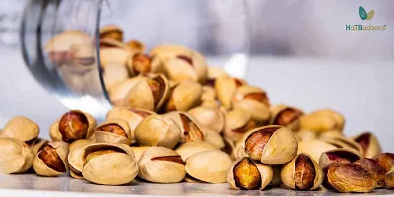 خصوصیات درخت پسته کله قوچی